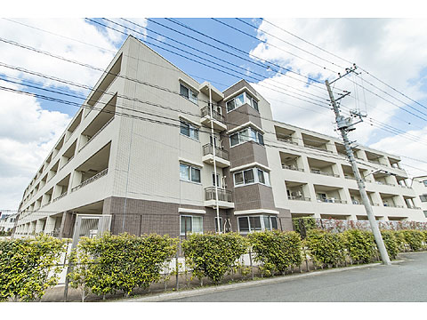 現地外観写真 外観