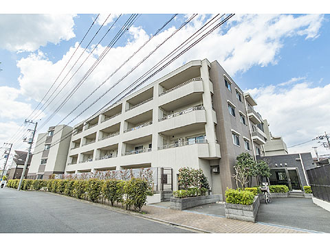 現地外観写真 外観