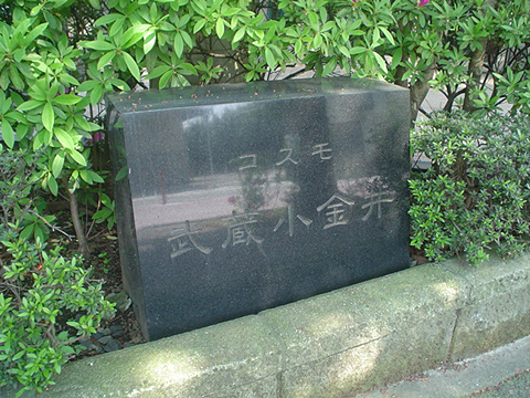 その他共用部　写真1