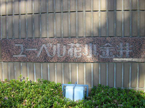 その他共用部 写真1