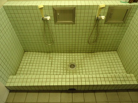 その他共用部 ペットの足洗い場