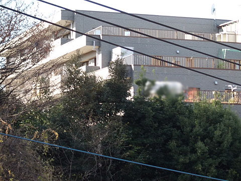 その他共用部　外観2