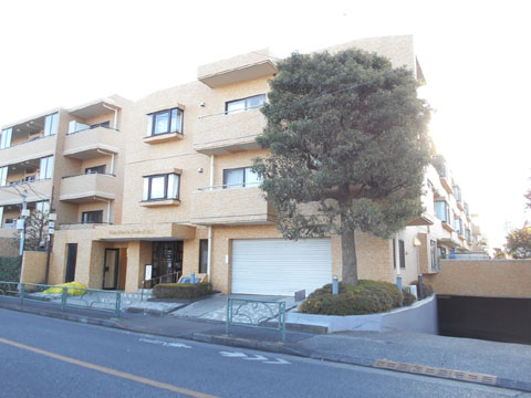 現地外観写真 外観