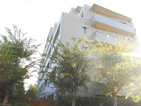 現地外観写真　外観