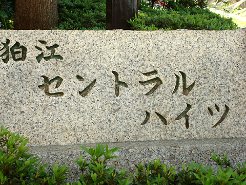 その他共用部　写真1