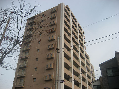 その他共用部 外観2