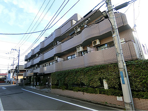 現地外観写真 外観