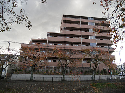 その他共用部 外観2