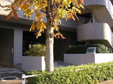 その他共用部 エントランス1