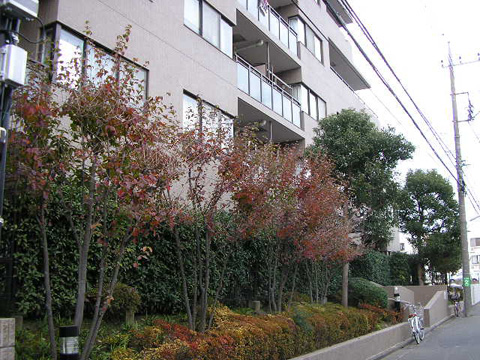 その他共用部 外観4