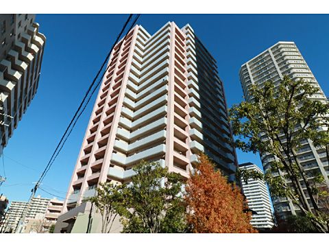 現地外観写真 IMG_5374