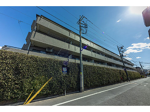 現地外観写真 外観