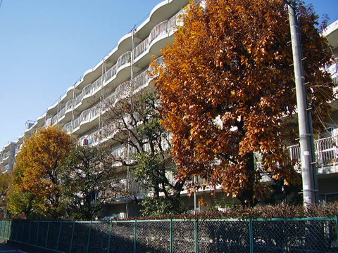 その他共用部 外観6