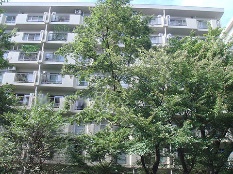 その他共用部　外観3