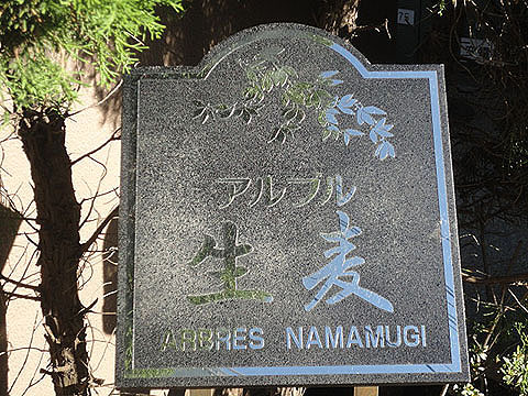 その他共用部　写真１