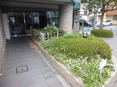 エントランス　植栽あるエントランスアプローチ