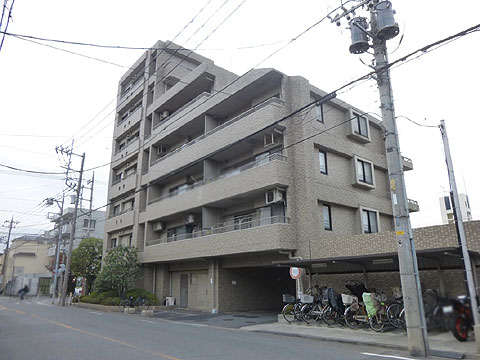 現地外観写真　外観（東側）