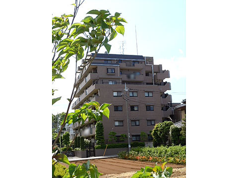 その他共用部　外観3