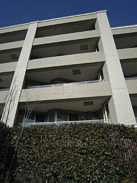 その他共用部 外観5