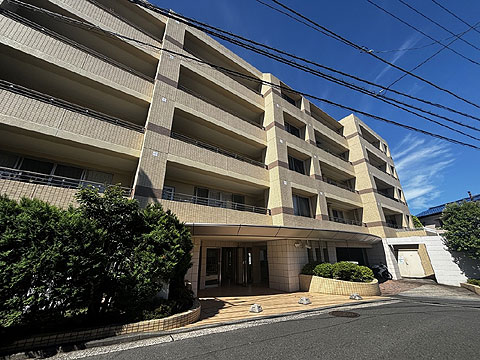 現地外観写真 外観