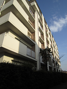 その他共用部 外観6