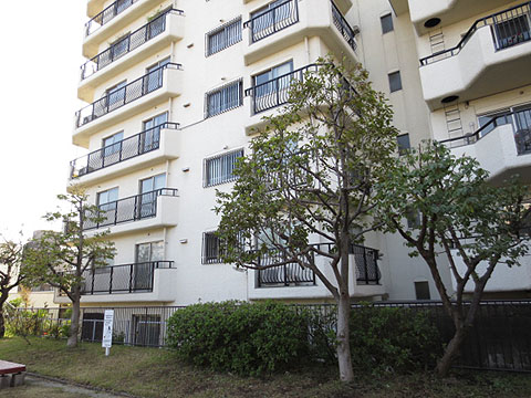 その他共用部　外観3