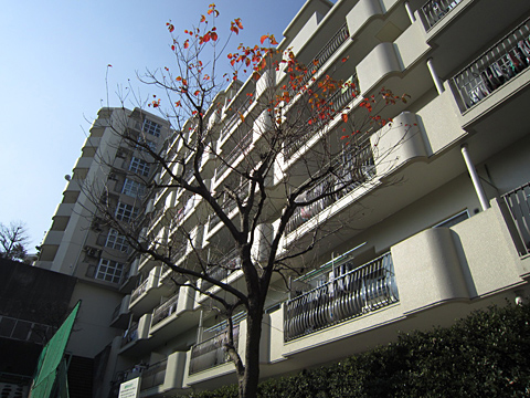 その他共用部 外観4