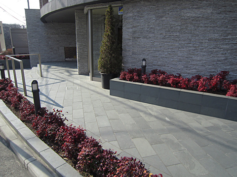 その他共用部 エントランス1