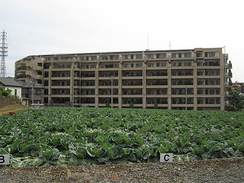 その他共用部　外観2