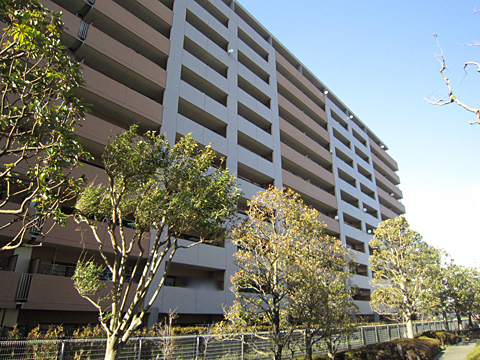 その他共用部 外観8