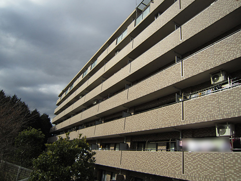 その他共用部 外観5