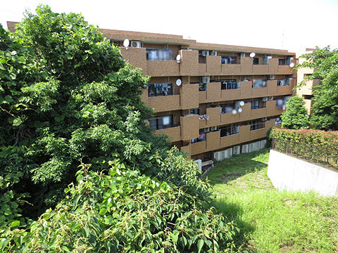 その他共用部　外観2