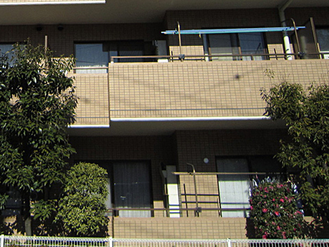 その他共用部 外観5