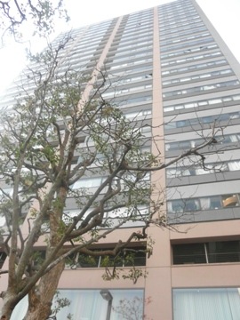 その他共用部 外観5