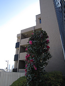 その他共用部　外観４