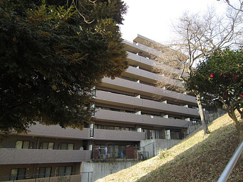 その他共用部 外観7