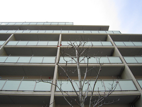 その他共用部 外観3