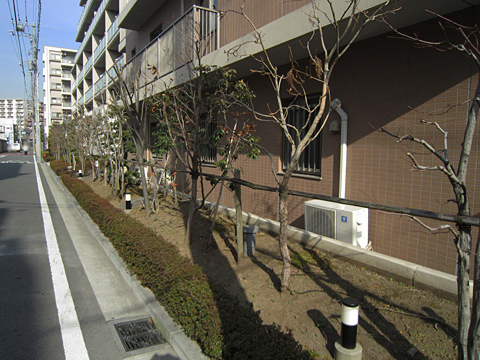 その他共用部 外観4