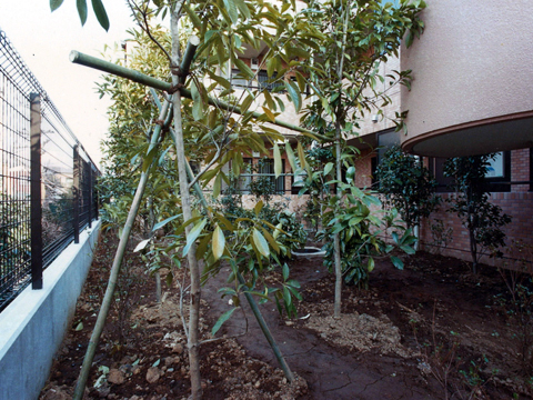 その他共用部 中庭