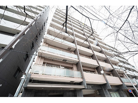 現地外観写真　外観２