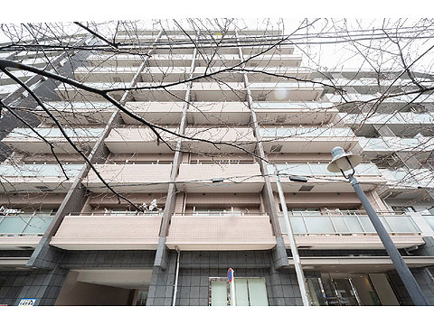 現地外観写真　外観３