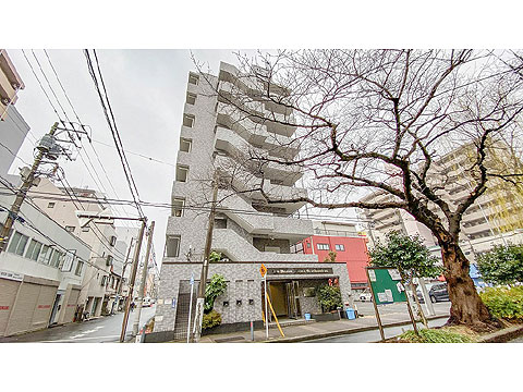 現地外観写真　外観２