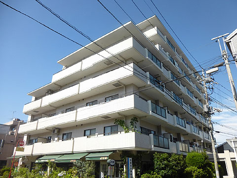 現地外観写真 外観