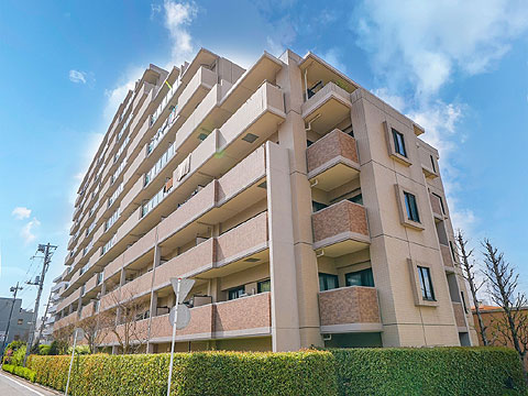 現地外観写真 外観