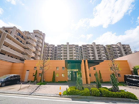 現地外観写真 外観