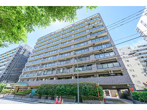 現地外観写真　外観