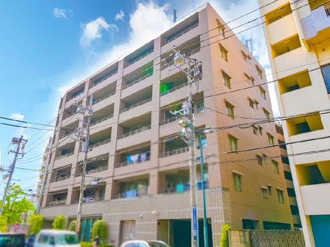 現地外観写真 外観