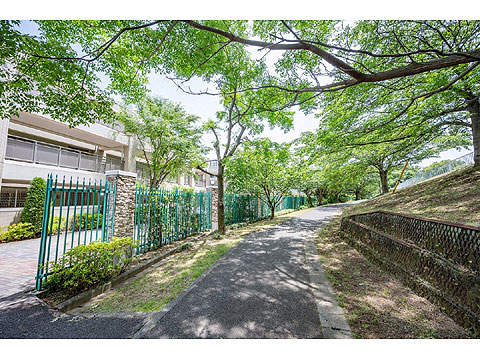 現地外観写真　外観５