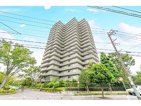 現地外観写真 外観