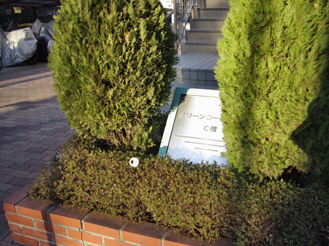 その他共用部　写真1